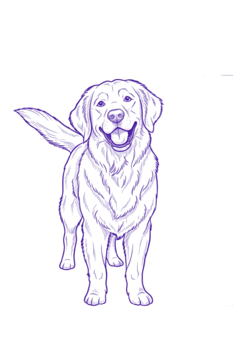 Golden retriever tattoo stencil generated by Stencify from a photo